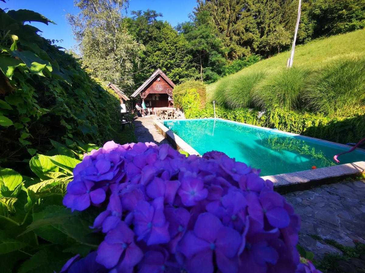 Glamping Mm Hotel Muta Kültér fotó