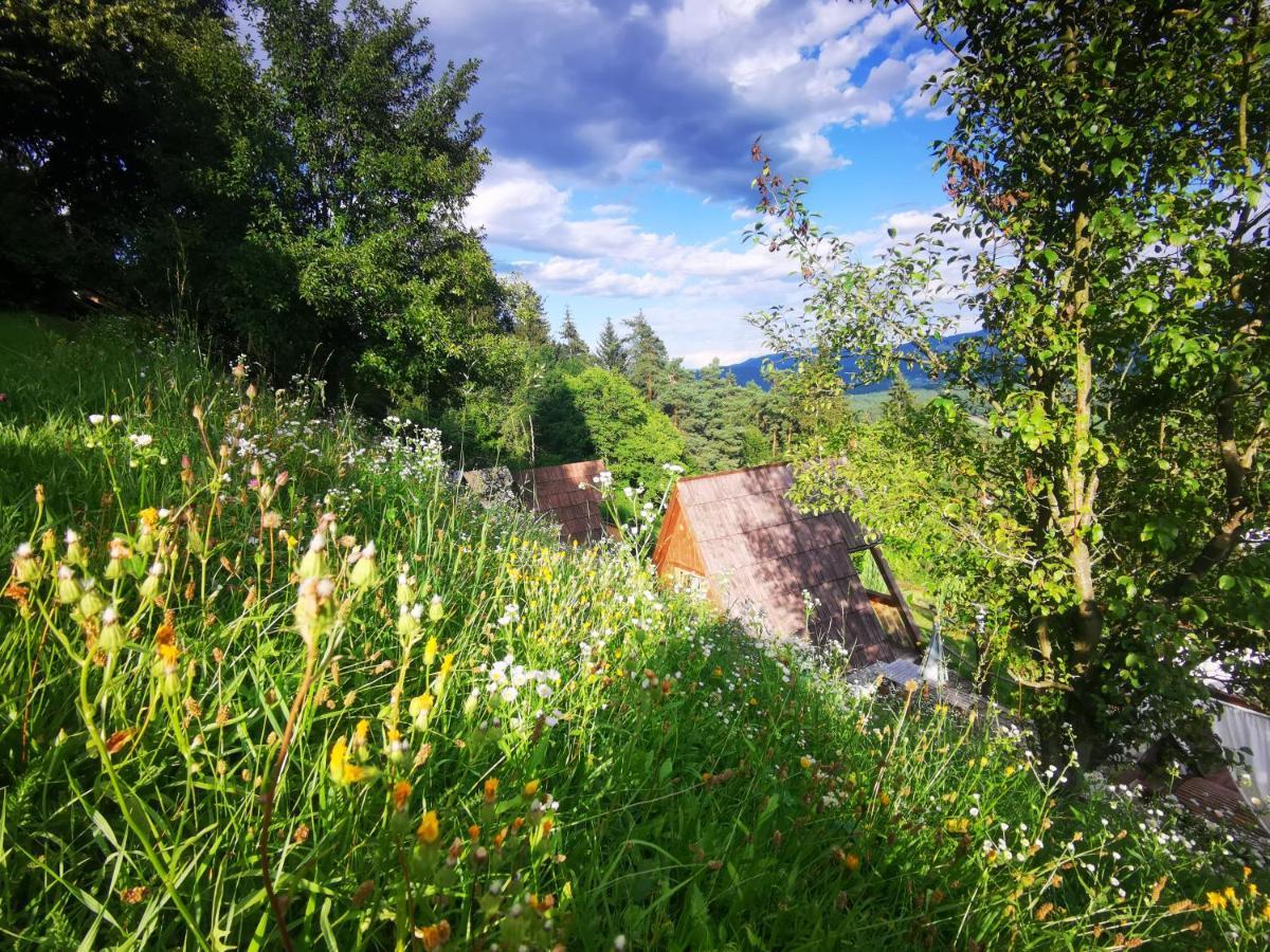 Glamping Mm Hotel Muta Kültér fotó